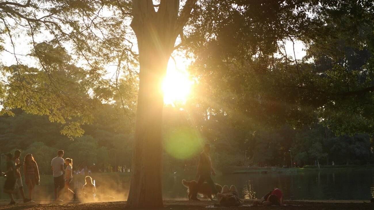 Pessoas aproveitam final de tarde no Parque Ibirapuera – Como chegar da Av. Paulista aos principais pontos de São Paulo | Club Coworking